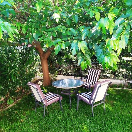 House With Garden Netflix Villa Nea Kerasia Luaran gambar