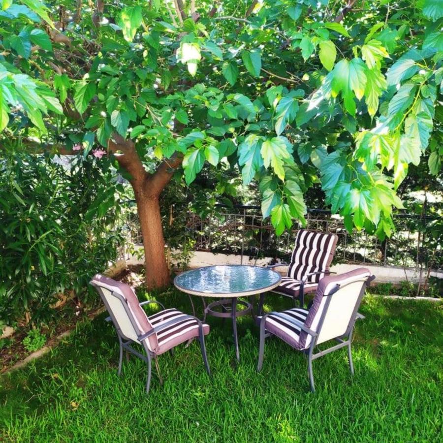 House With Garden Netflix Villa Nea Kerasia Luaran gambar