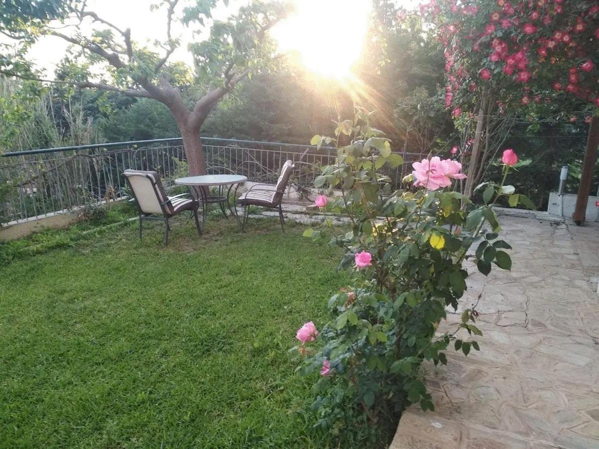 House With Garden Netflix Villa Nea Kerasia Luaran gambar